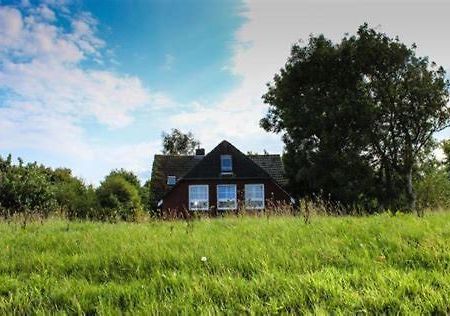 Landhaus Am Deich Dornum Eksteriør billede